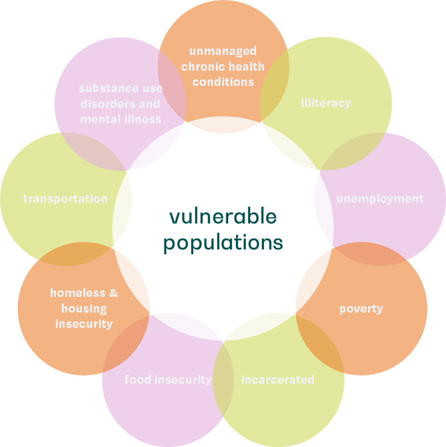 graphic summarizing social determinants of health for vulnerable populations